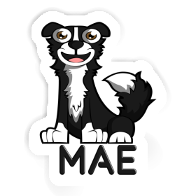 Sticker Mae Border Collie Image