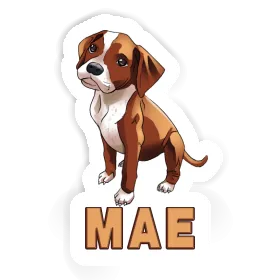 Mae Sticker Boxer Image