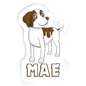 Aufkleber Mae Spaniel Image