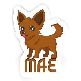 Sticker Mae Chihuahua Image