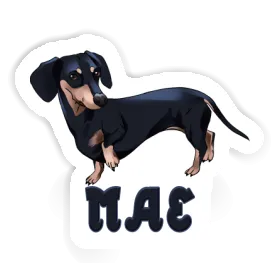 Mae Sticker Dachshund Image