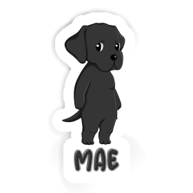 Labrador Retriever Sticker Mae Image