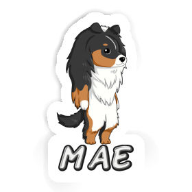 Aufkleber Mae Shetland Sheepdog Image