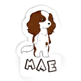 Sticker Cavalier King Charles Spaniel Mae Image