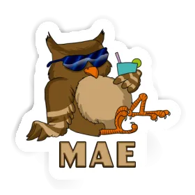 Mae Sticker Cool Owl Image