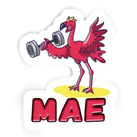 Mae Sticker Weight Lifter Image