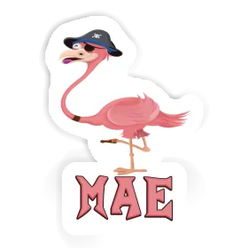 Flamingo Aufkleber Mae Image