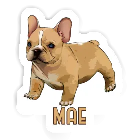 Autocollant Bouledogue Mae Image