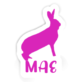 Sticker Mae Rabbit Image