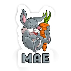 Sticker Mae Rabbits Image