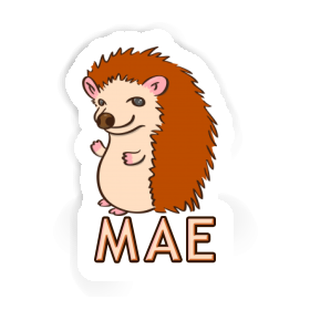 Sticker Hedgehog Mae Image