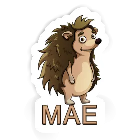 Igel Sticker Mae Image