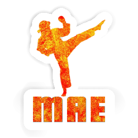 Karateka Sticker Mae Image