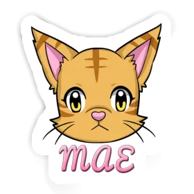 Kitten Sticker Mae Image