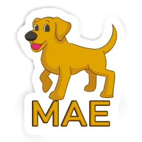 Chien Autocollant Mae Image