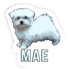 Sticker Doggie Mae Image