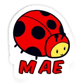 Sticker Mae Ladybug Image