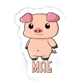 Schweinchen Sticker Mae Image