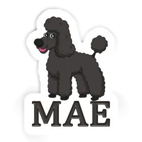 Autocollant Caniche Mae Image