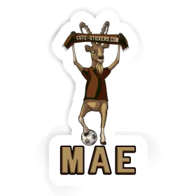 Steinbock Sticker Mae Image