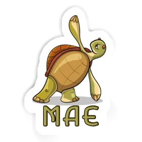 Yoga-Schildkröte Sticker Mae Image