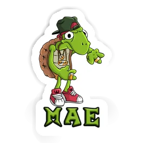 Hip Hop Turtle Sticker Mae Image