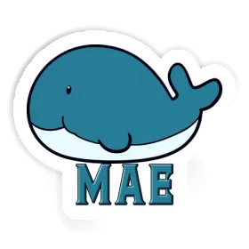 Whale Sticker Mae Image