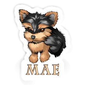 Sticker Yorkshire Terrier Mae Image