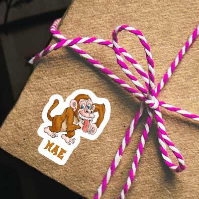 Sticker Mae Ape Gift package Image