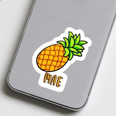 Mae Sticker Pineapple Gift package Image