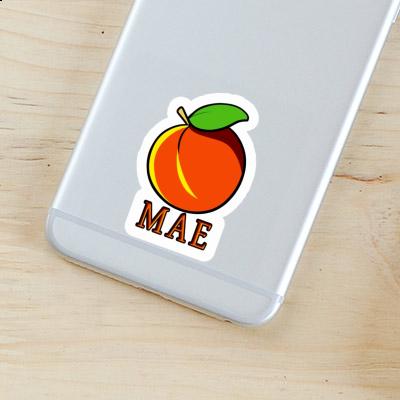 Apricot Sticker Mae Gift package Image