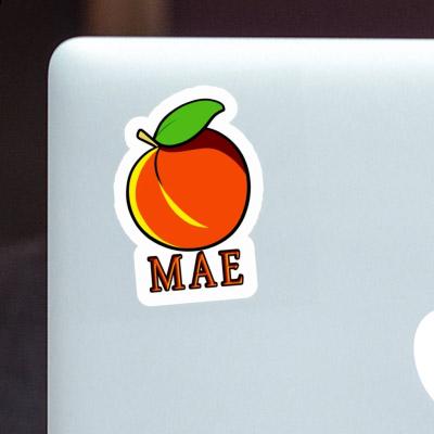 Apricot Sticker Mae Laptop Image