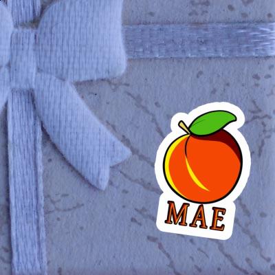 Apricot Sticker Mae Notebook Image