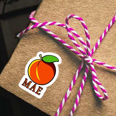 Apricot Sticker Mae Gift package Image