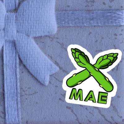 Sticker Mae Asparagus Gift package Image