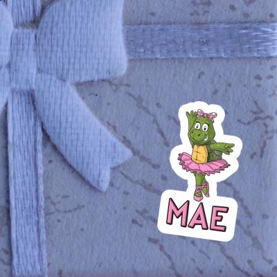 Sticker Mae Turtle Notebook Image