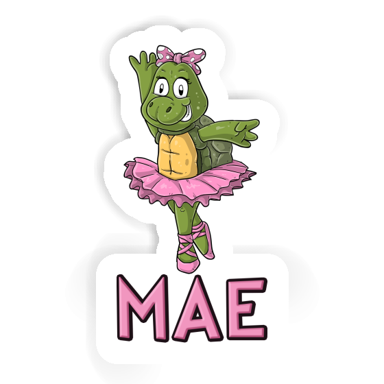 Sticker Mae Turtle Notebook Image