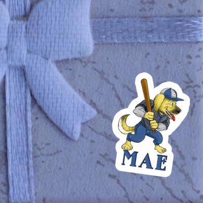 Autocollant Mae Baseball-Chien Gift package Image