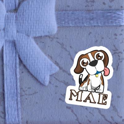 Sticker Mae Beagle Gift package Image