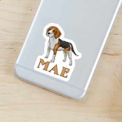 Sticker Mae Beagle Gift package Image