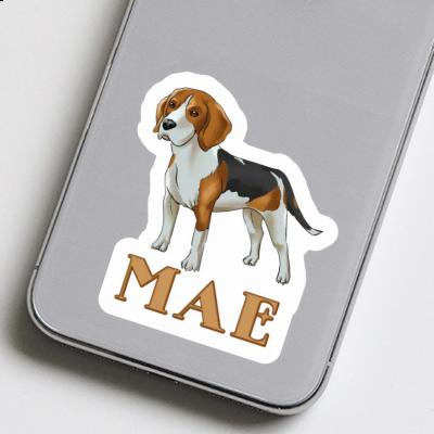 Autocollant Mae Beagle Image