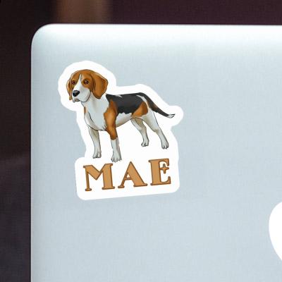 Sticker Mae Beagle Laptop Image