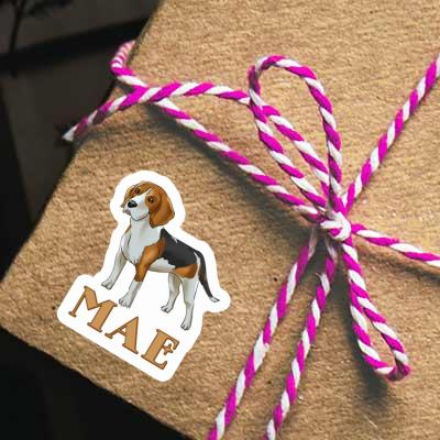 Sticker Mae Beagle Gift package Image