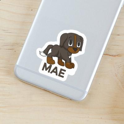 Mae Sticker Bernese Mountain Dog Gift package Image