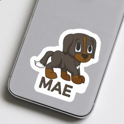 Mae Sticker Bernese Mountain Dog Laptop Image