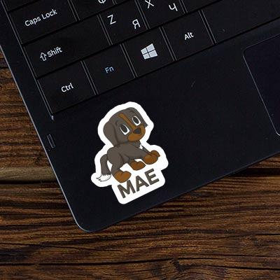 Mae Sticker Bernese Mountain Dog Notebook Image