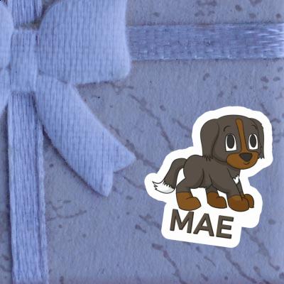 Mae Sticker Bernese Mountain Dog Image