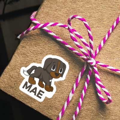 Berner Sennenhund Sticker Mae Notebook Image