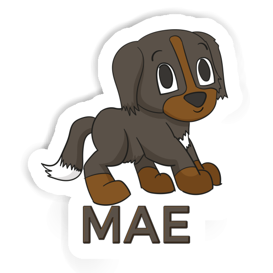 Berner Sennenhund Sticker Mae Laptop Image