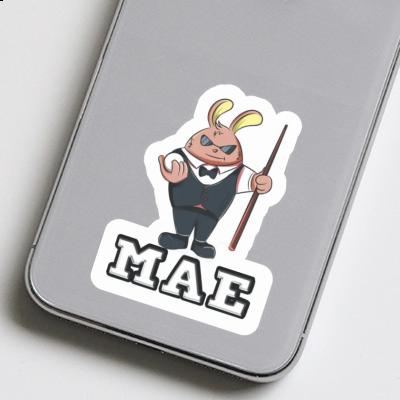 Sticker Mae Billiard Player Notebook Image